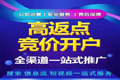 百度推广代运营案例：案例解析：如何提升广告投放效果